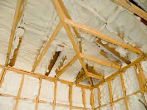 Newly-Sprayed-Insulation-2520068.jpg