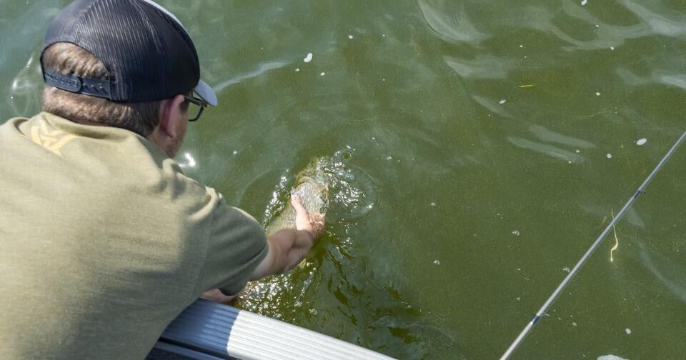 Fishing_250620_1932-ALP.jpg