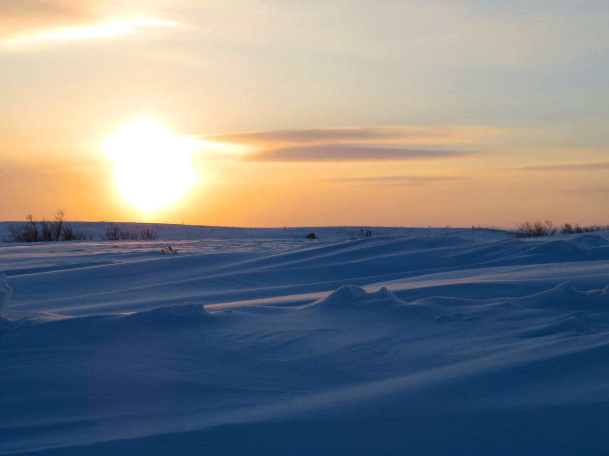Barren Beauty