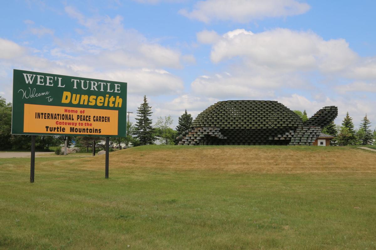 Wee'l Turtle