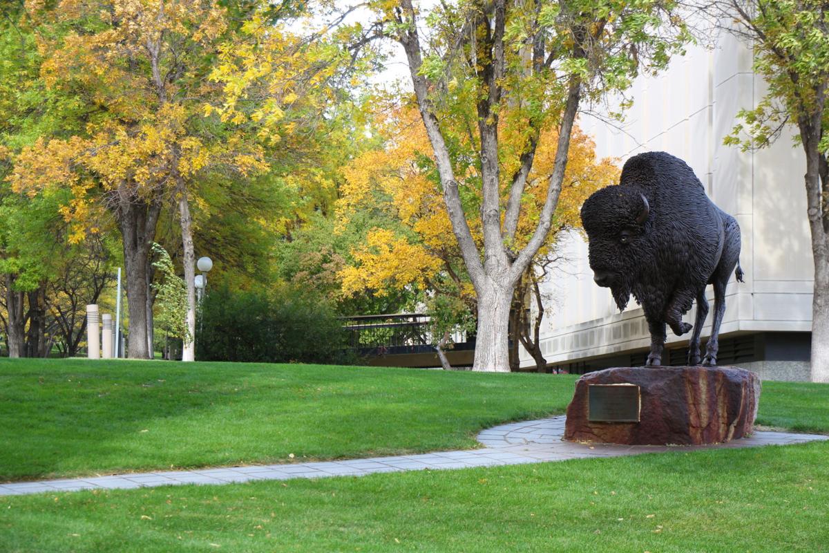 Buffalo Heritage