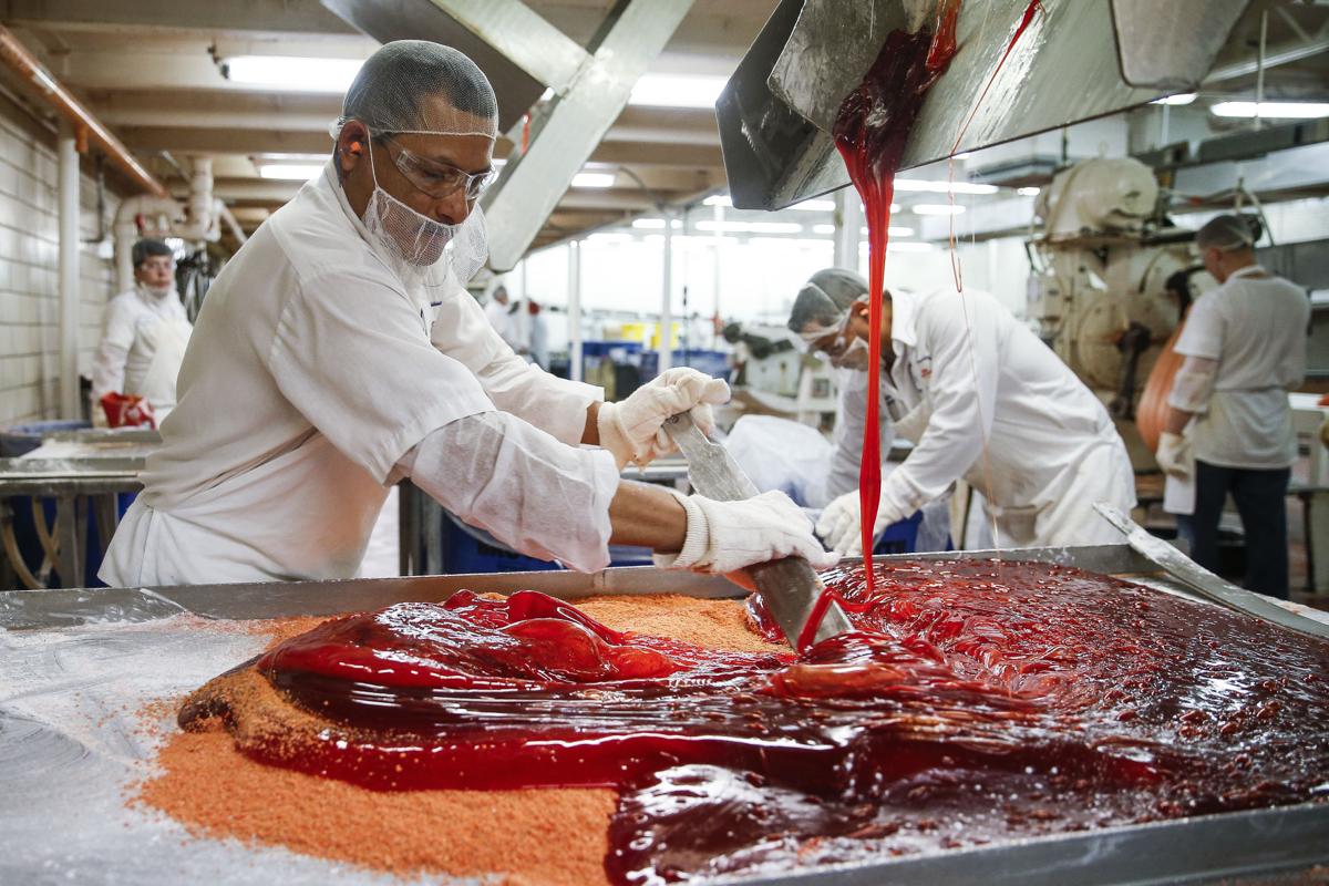 Photos Inside an American candy factory National News