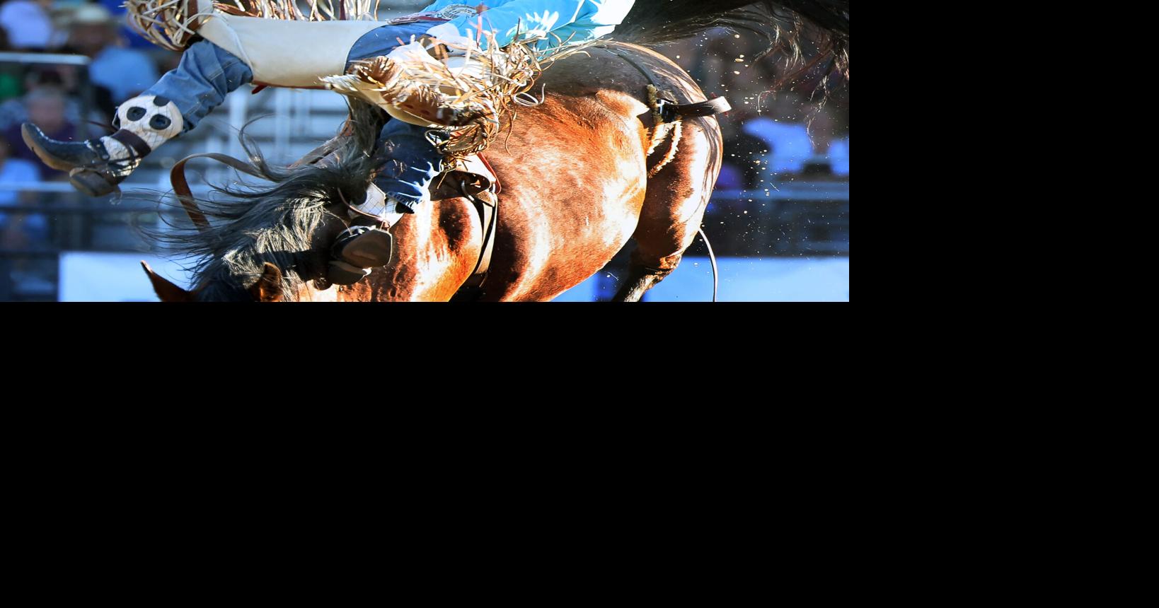No.1-ranked saddle bronc rider Newman claims top prize at Mandan Rodeo Days