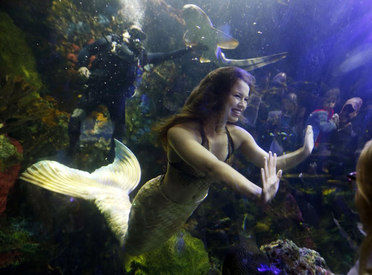 Photos Aquarium mermaids promote the sea, conservation National News