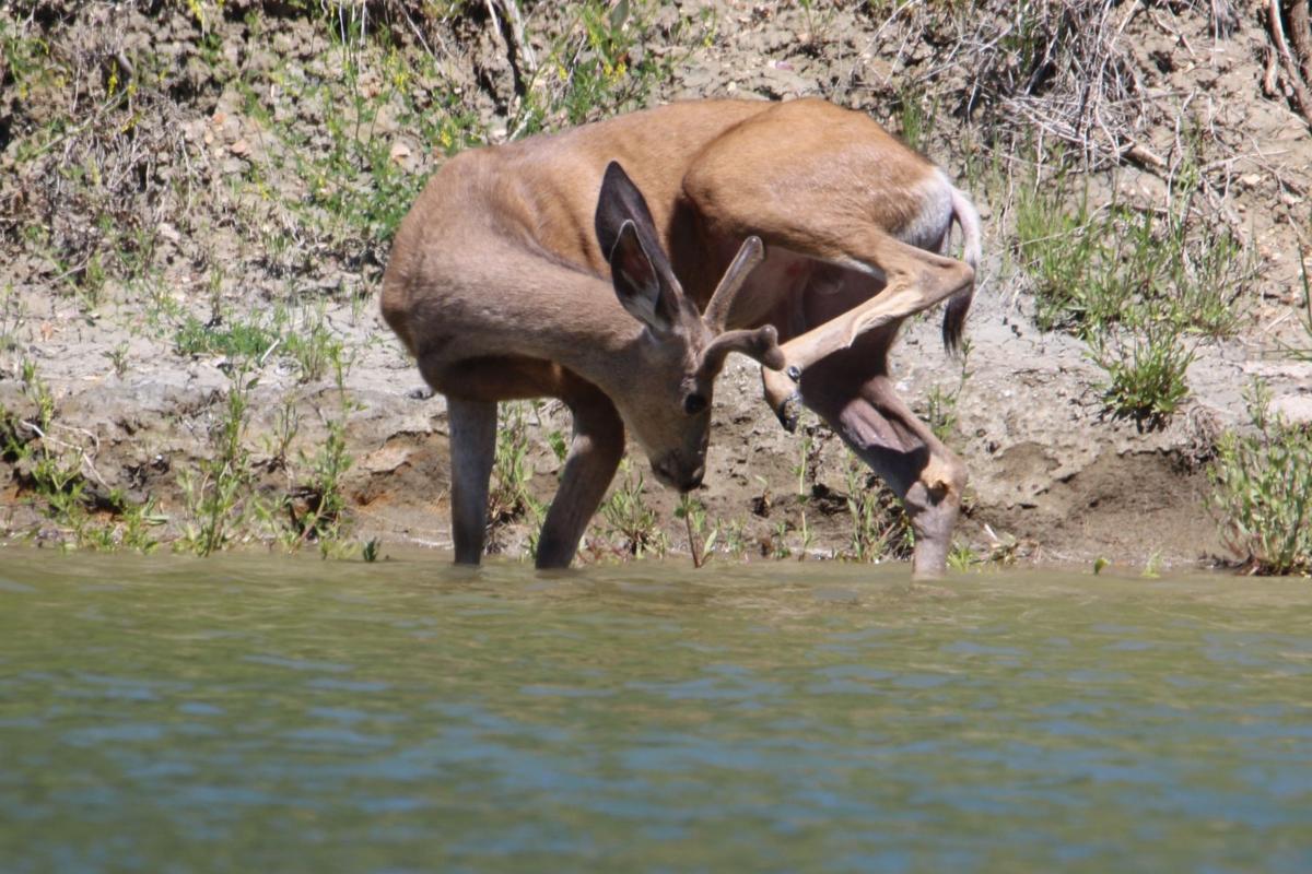 Cooling Off