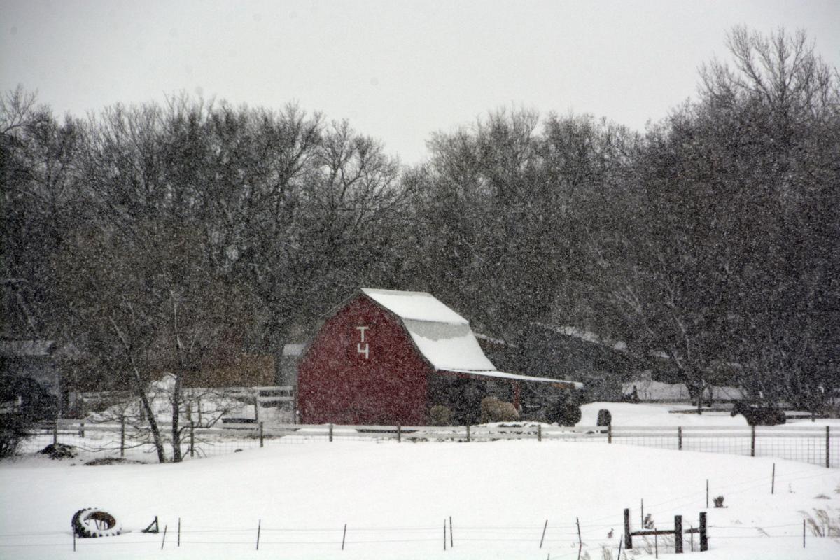 Barn scene