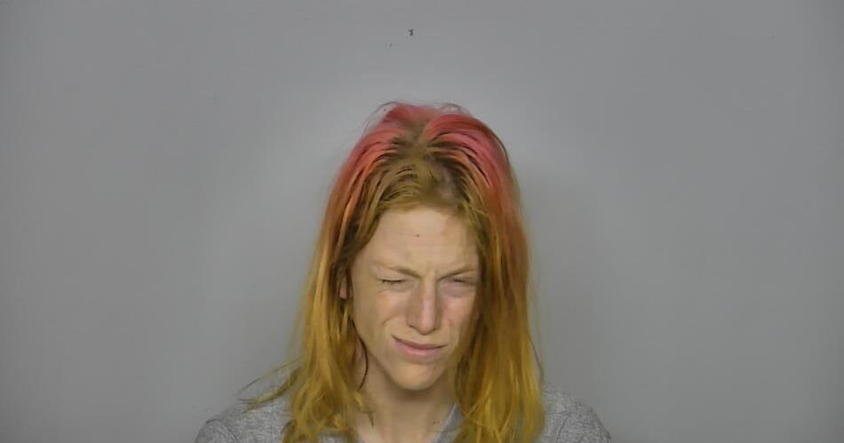 Bismarck woman with five active drug cases faces new charges - Vimarsana News