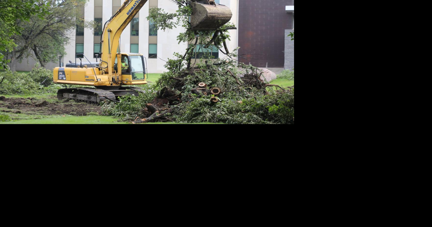 Tree removal to impact Bismarck street