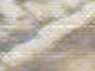 Dorothy Peterson Obituaries Bismarcktribune Com Ayla peterson in harper's bazaar magazine, australia may 2020. the bismarck tribune