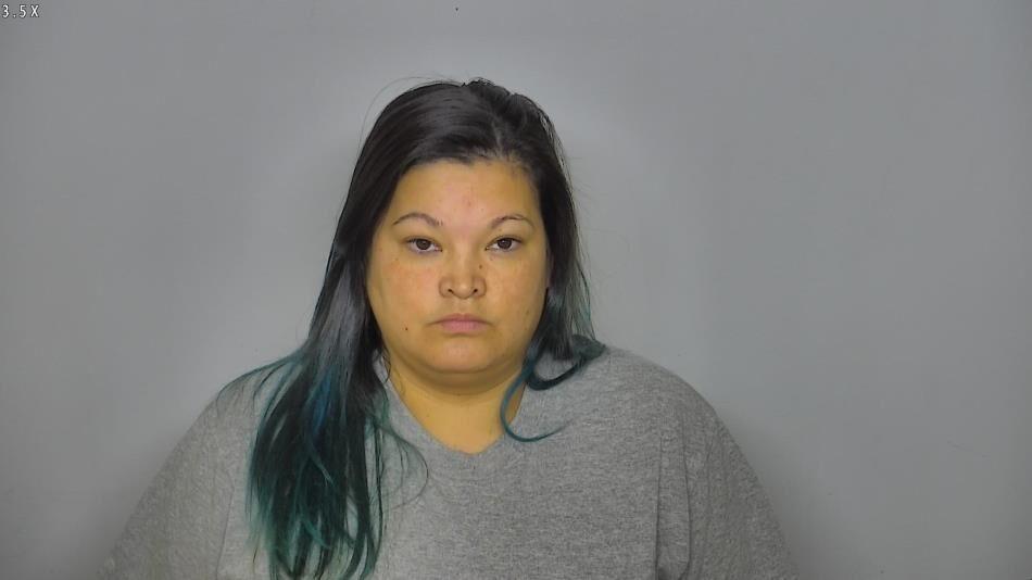 Bismarck woman who stole rental truck sentenced to probation