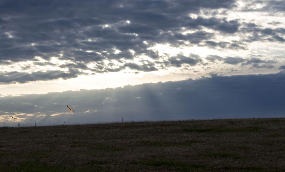 Prairie Sunrise