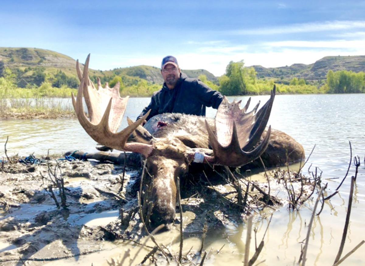111419-nws-moose