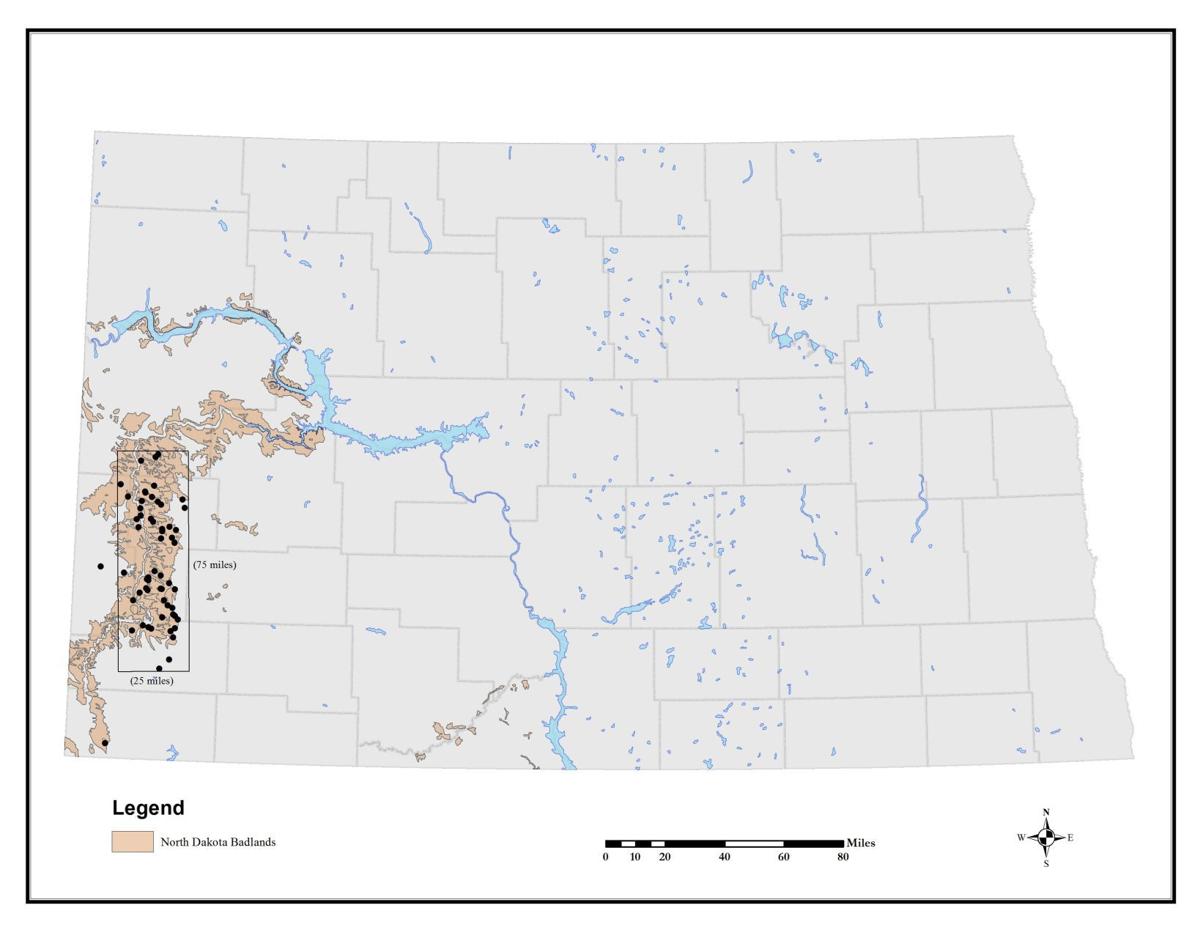 State geologists finding formula for discovery of valuable ...
