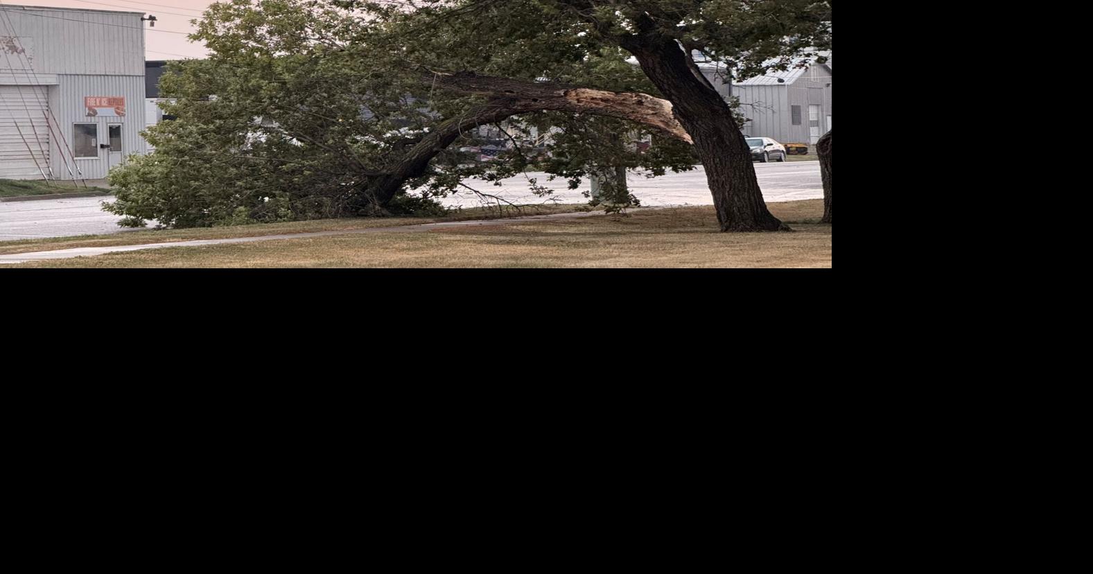 Record-breaking heat persists in Bismarck; early morning storm causes tree damage BLAKE NICHOLSON Bismarck Tribune Aug 3, 2026 24 mins ago