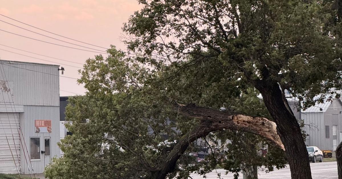 Record-breaking heat persists in Bismarck; early morning storm causes tree damage BLAKE NICHOLSON Bismarck Tribune Aug 3, 2026 24 mins ago
