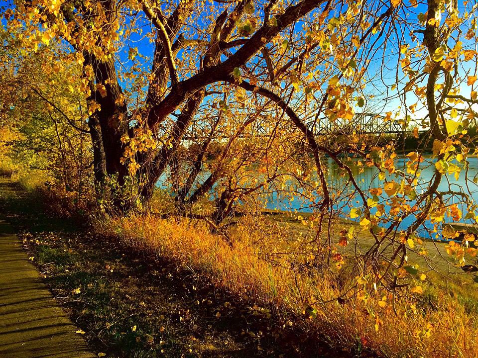Beautiful Colors of Fall