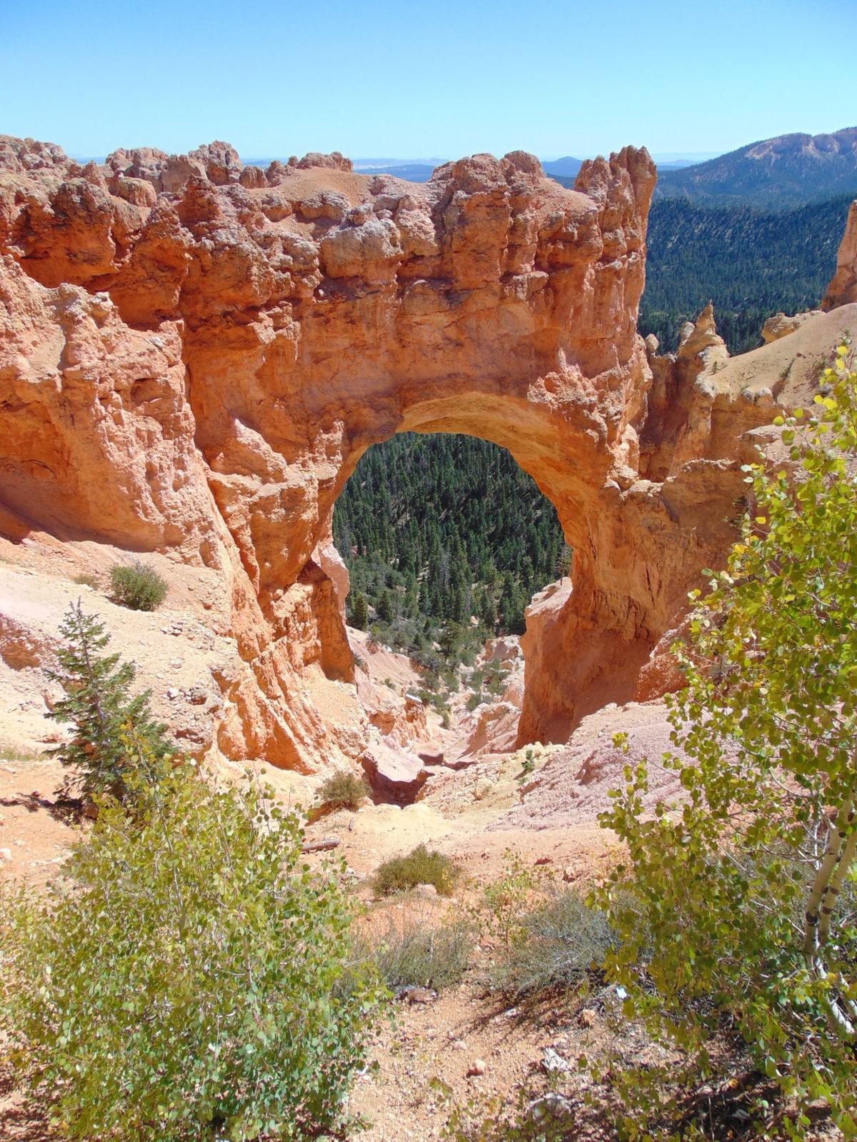 Natural Bridge