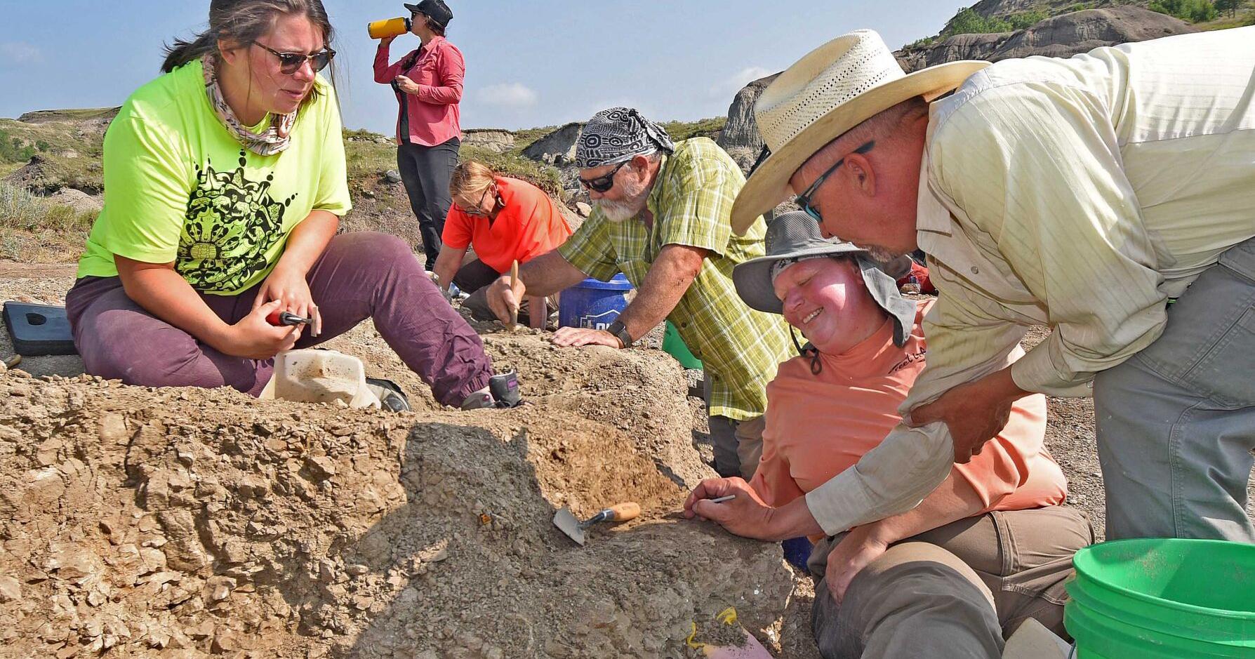'Citizen science' on display at public fossil dig; volunteers aid state paleontologists - Vimarsana News