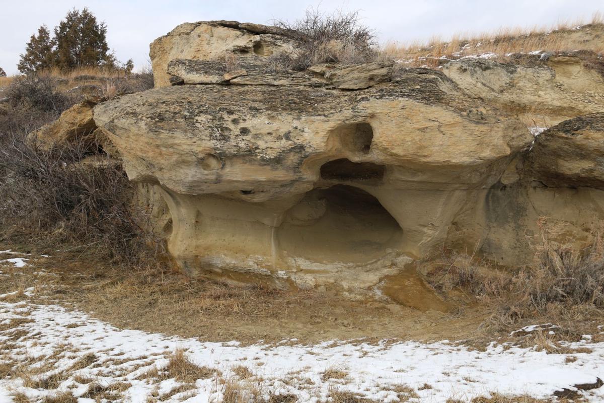 Fall Out Shelter