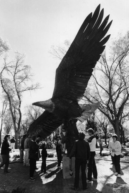 Custer Park Eagle 3.jpg