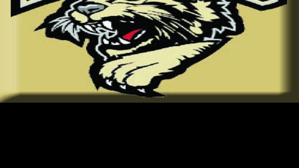 Bobcats return refreshed Bismarck Bobcats