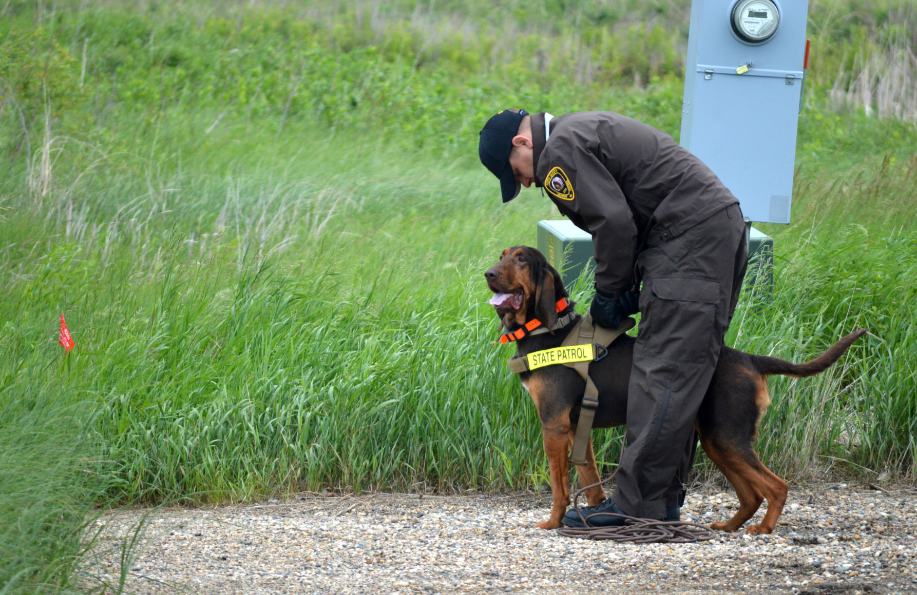 dog tracking for beginners