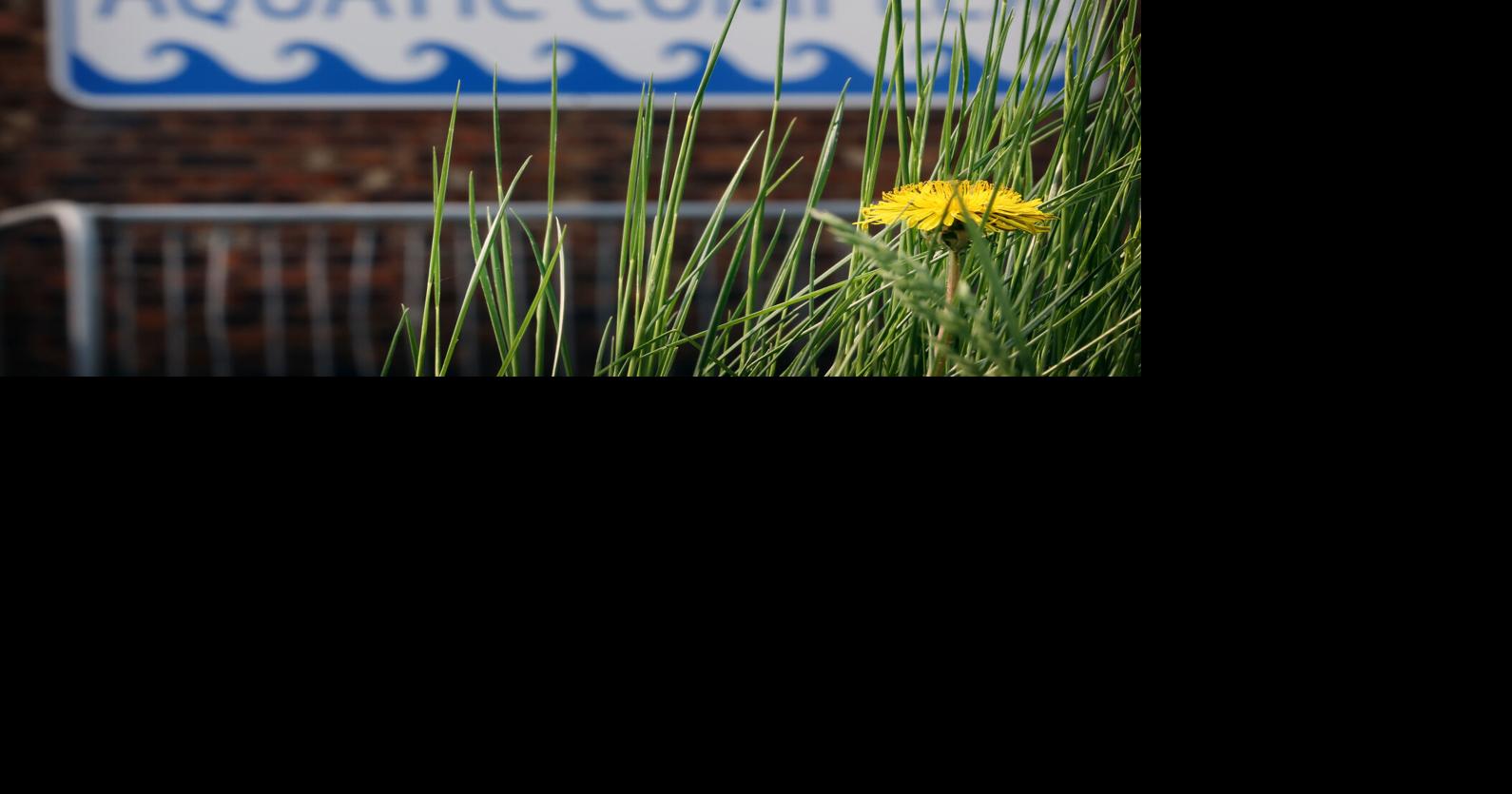 Lifeguard shortage impacting outdoor pool openings in Bismarck