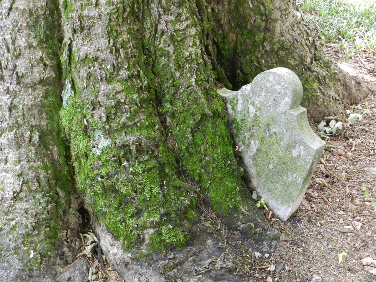 Old Grey Cemetary
