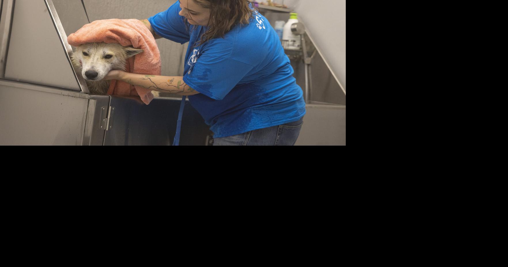 Central Dakota Humane Society credits community for achieving Bavendick 'dream'
