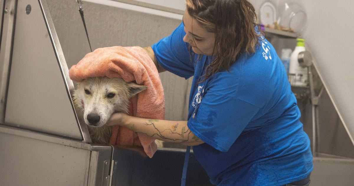 Central Dakota Humane Society credits community for achieving Bavendick 'dream'