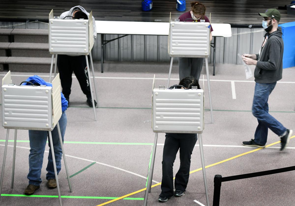 110420-nws-voting (copy)