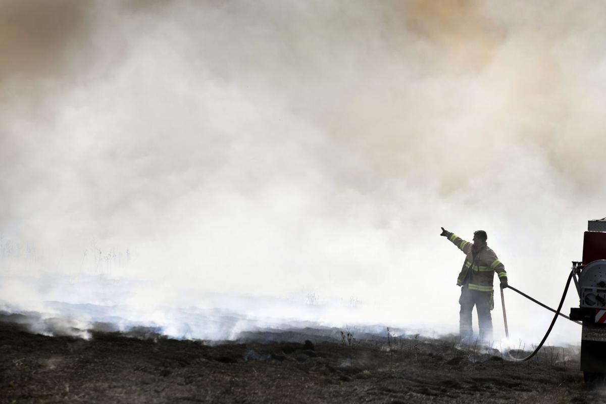 Wildfire