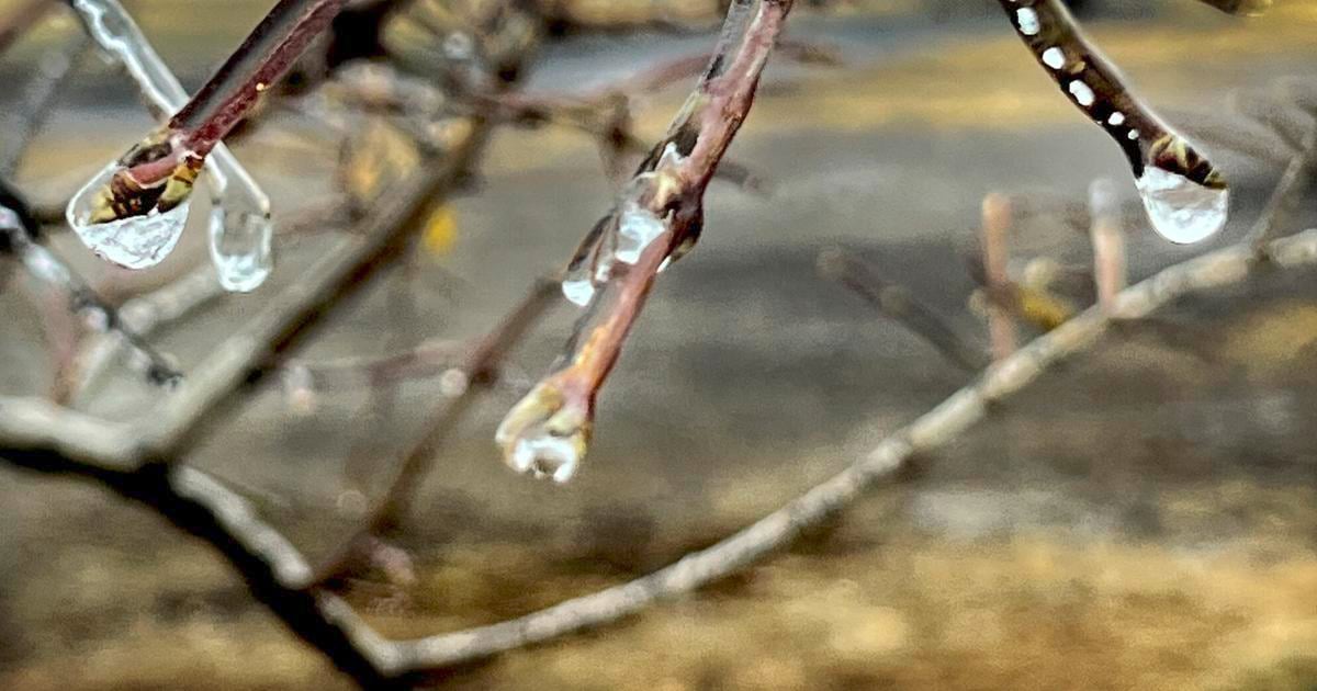 Wednesday NJ weather: Sunny, warm, and dry. Wow.