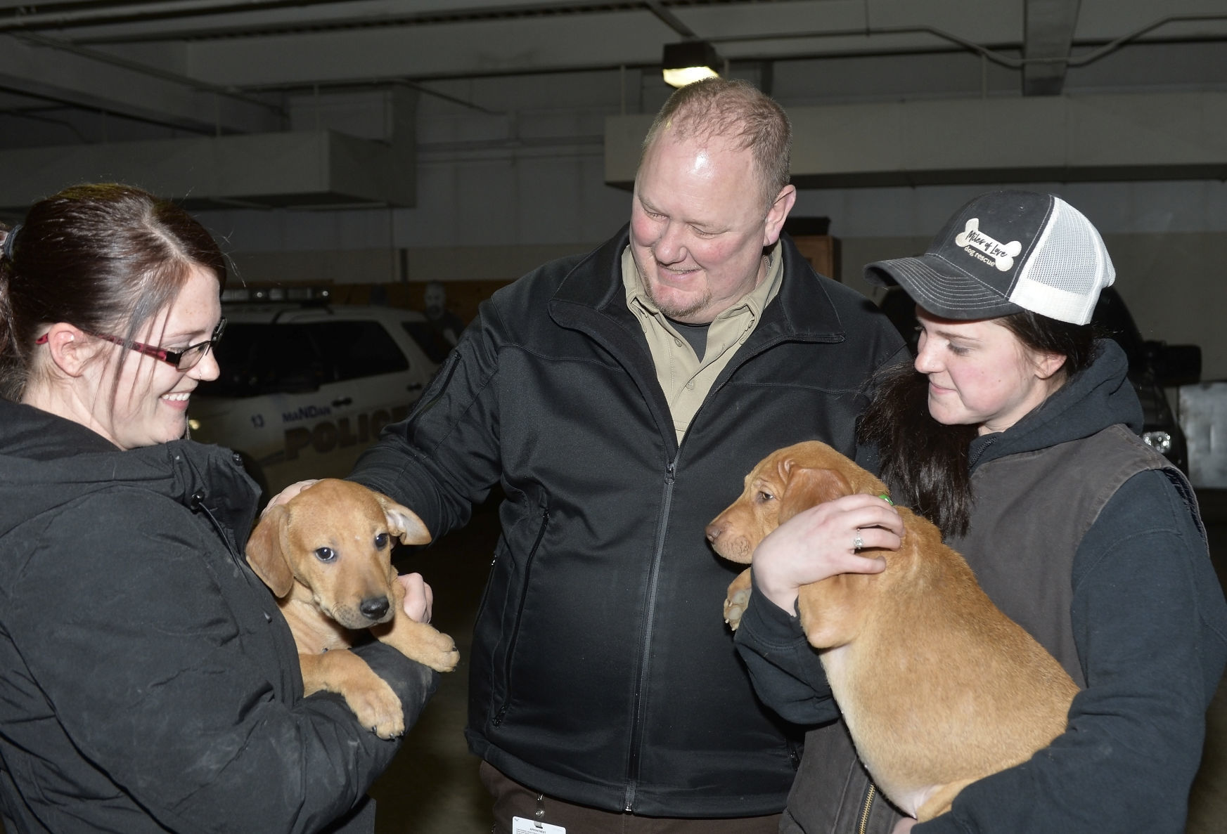 sun shelters for dogs