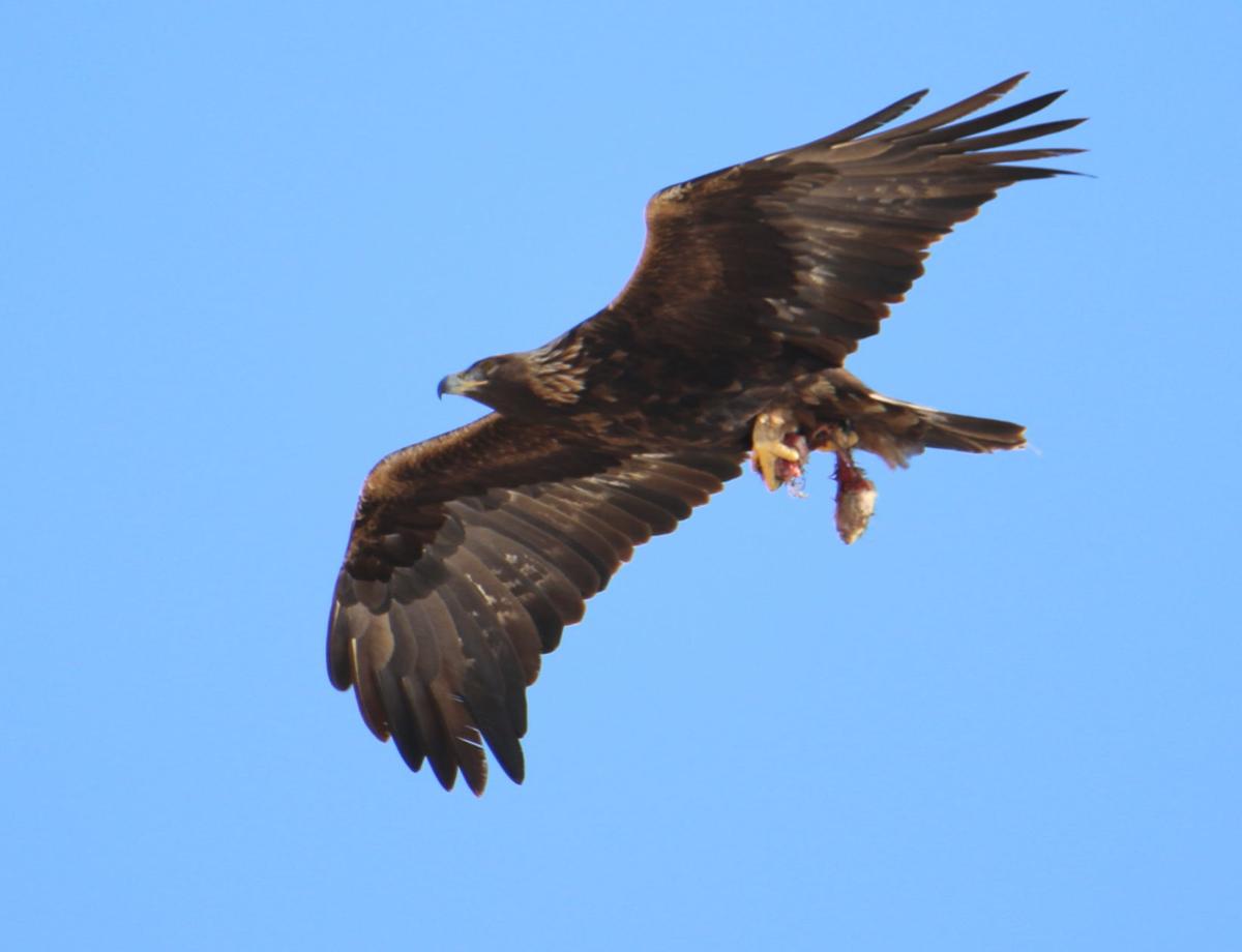 Flying By
