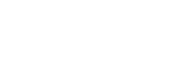 The Bismarck Tribune