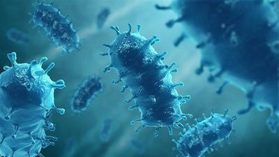 Rabies virus stock image