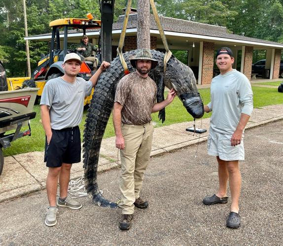 Gator season completes first weekend of 2022 season, list of gators caught