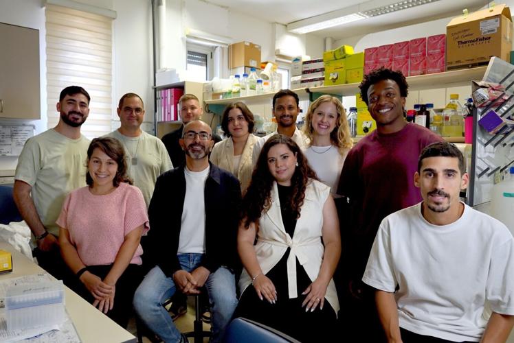 Cannabis compounds reduce threat of fatty liver disease, according to new research