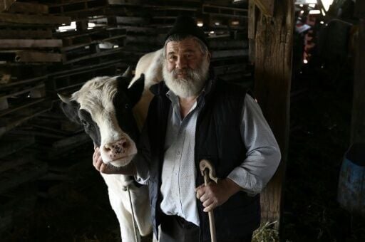 Kostas Theofilou: 'What job can I do now?'