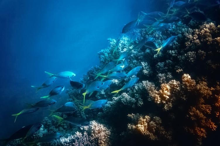 pexels-golimpio-7865055