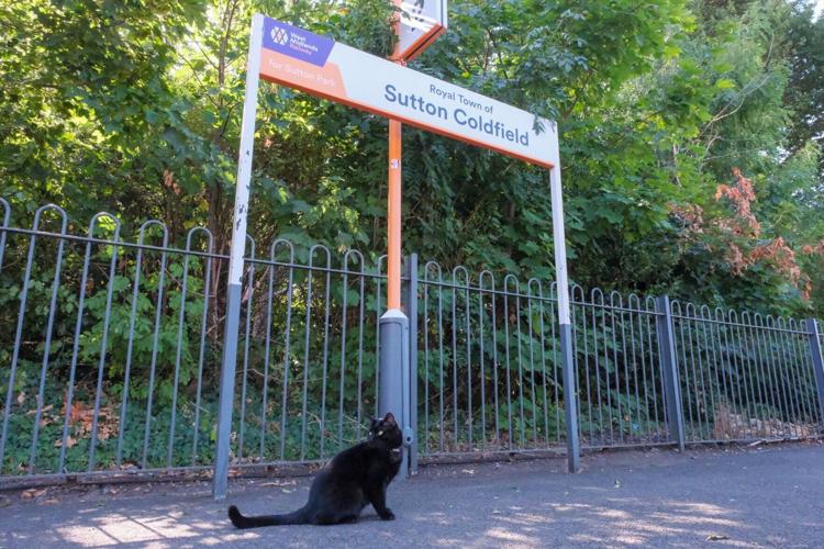 Birmingham railway station cat officially appointed Junior Mouse Catcher