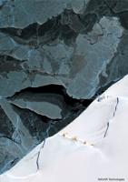 Emperor penguins populations in Antarctica rapidly declining, warns BAS