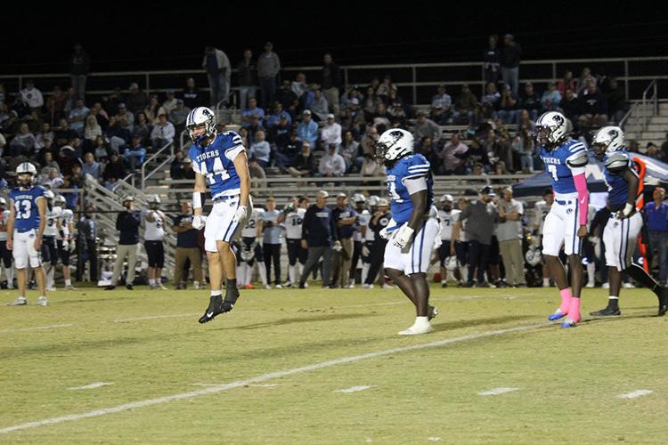 Demopolis celebrates 2.jpg