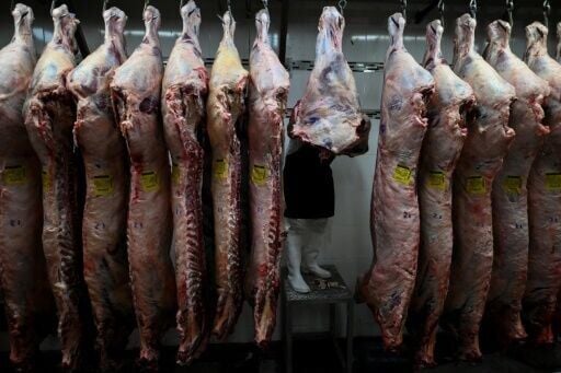 In 2024, Argentina recorded an historic low of 47 kilograms of red meat consumed per person on average