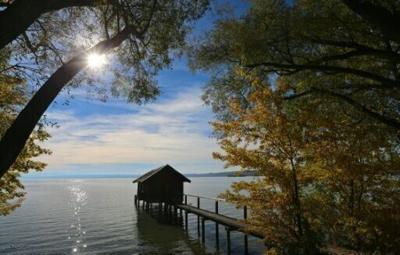 Just looking at images of nature can relieve pain, study finds