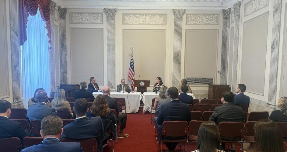 Economic panel from ADN