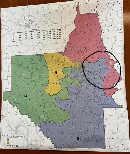 Dallas County District Map