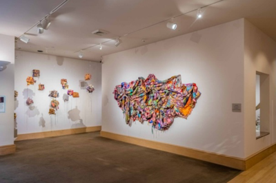 "BOUNDLESS" art exhibit opens at MMFA tomorrow