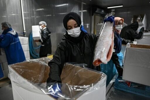 'Turkish salmon': the Black Sea's new rose-coloured gold